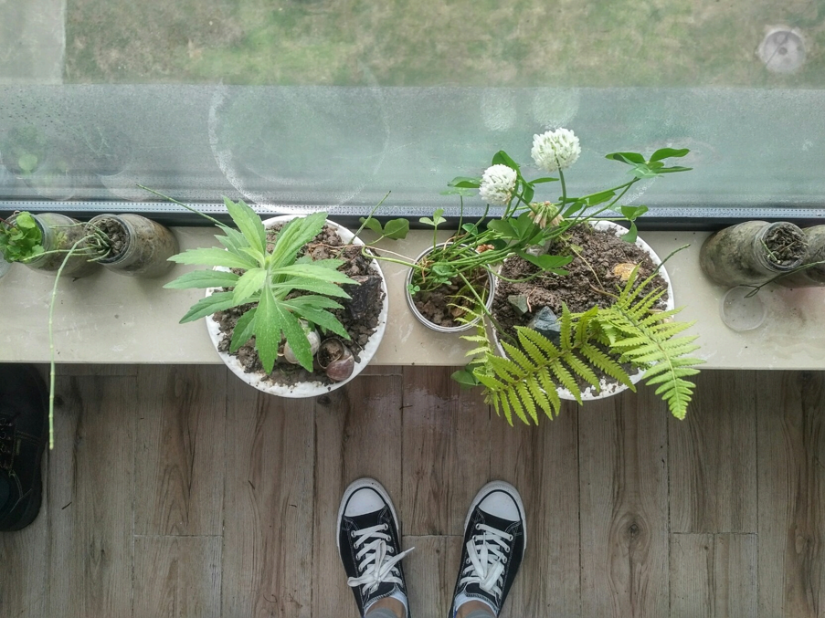 翻修后,由黑莓Priv拍摄